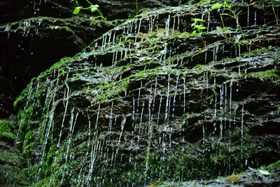 DSC_2826 (Large).JPG